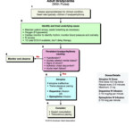 2010 ACLS Algorithms EMS Resources UF Academic Health Center