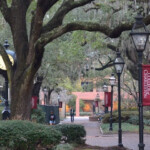 College Of Charleston Freezes Tuition For The 2020 2021 Calendar Year