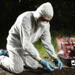 Crime Scene Investigation Bachelor Of Applied Science In Public Safety