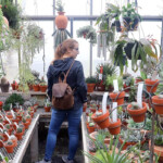 Horticulture Sciences SUNY Delhi Program Admissions Requirements