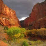 Kolob Canyons Zion National Park U S National Park Service