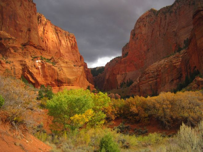 Kolob Canyons Zion National Park U S National Park Service