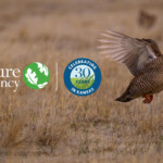 Nature Conservancy 30th Anniversary Celebration