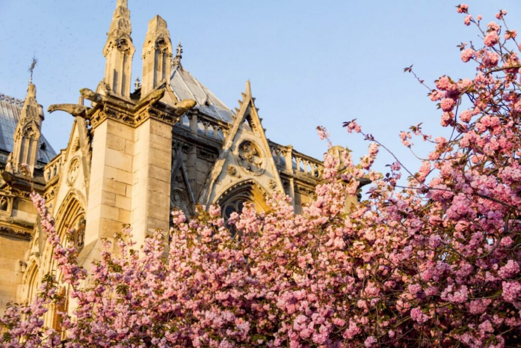 Paris In The Spring How To Make It Magical Keep It Real 