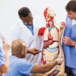 Questions To Ask Your Future Medical School CollegeXpress