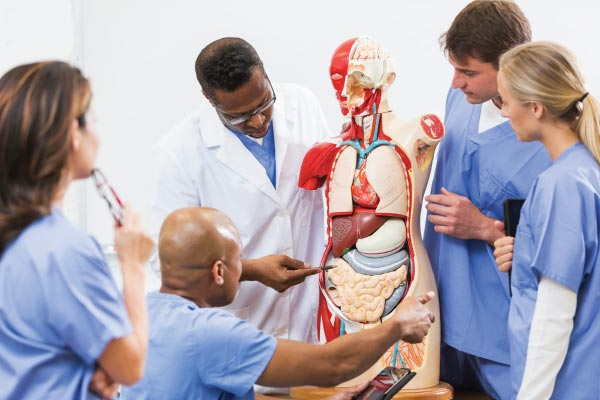 Questions To Ask Your Future Medical School CollegeXpress