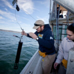 Science Internship Program Cal State Monterey Bay