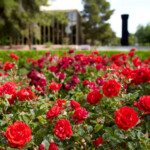 Spring 2021 Spring Break Recess Calendar University Of Nevada Las