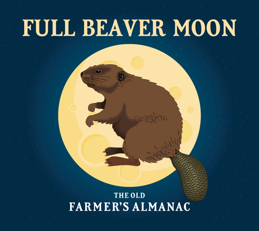 The Full Beaver Moon Full Moon For November 2019 The Old Farmer s 