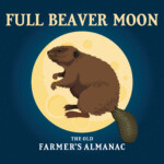 The Full Beaver Moon Full Moon For November 2019 The Old Farmer s