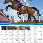 Paul Nicholls 2023 Racing Calendar Wilderspin Shop