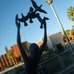 Statue On University Of Arizona Campus University Of Arizona Campus