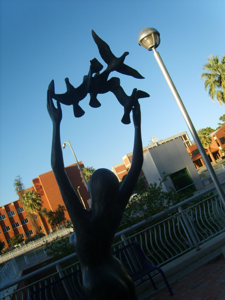 Statue On University Of Arizona Campus University Of Arizona Campus 