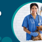 Tri C Veterinary Technology Cleveland