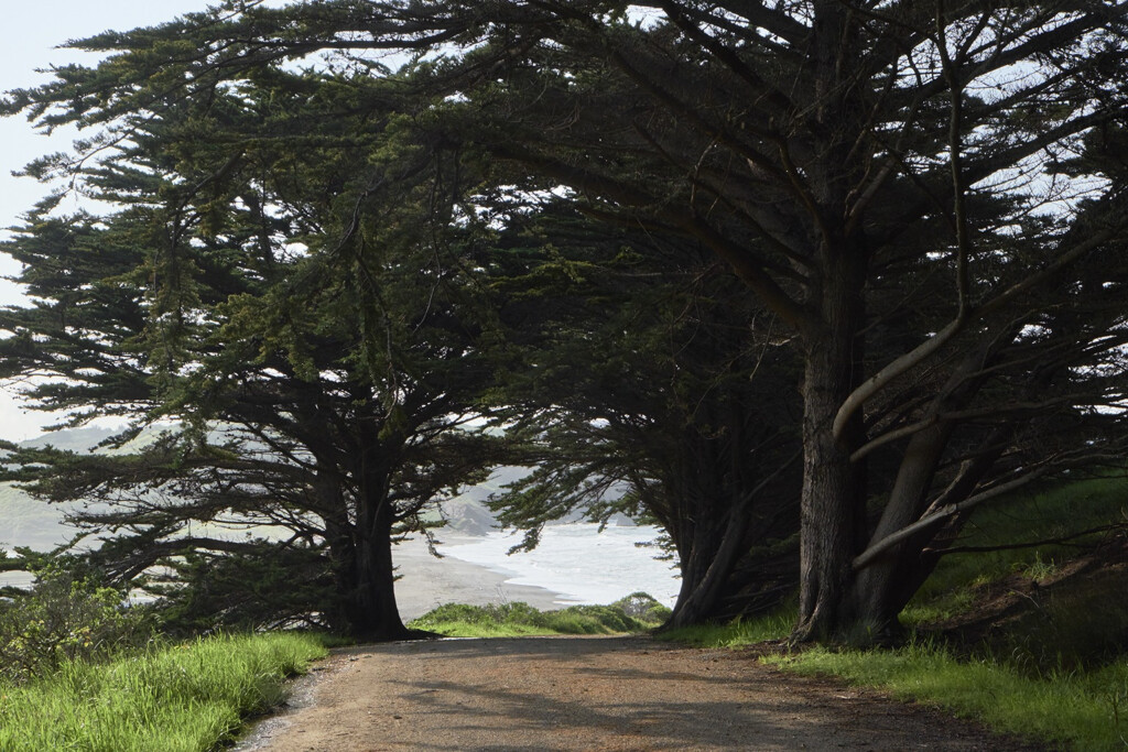 Where To Hike In Marin The Best Trails For Stunning Views Marin Magazine