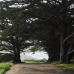 Where To Hike In Marin The Best Trails For Stunning Views Marin Magazine