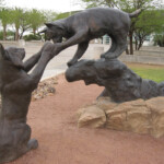 Wildcats Statue University Of Arizona McKale Memorial Cen Flickr