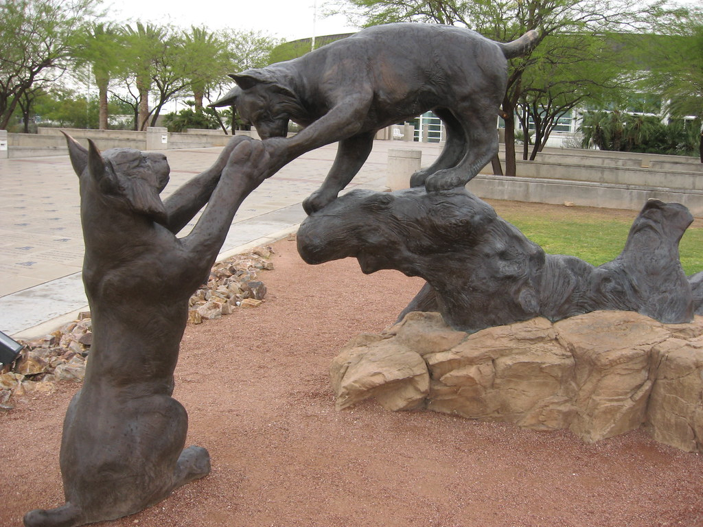 Wildcats Statue University Of Arizona McKale Memorial Cen Flickr