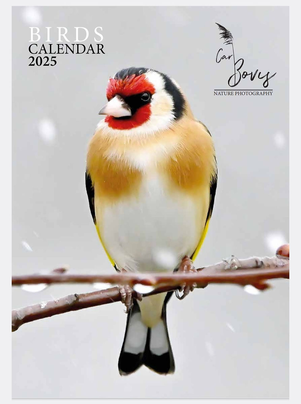 2025 Birds Calendars A4 VERSION Carl Bovis Nature Ph