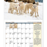 2025 Old Farmers Almanac Country Calendar 10 1 2 X 18 1 4