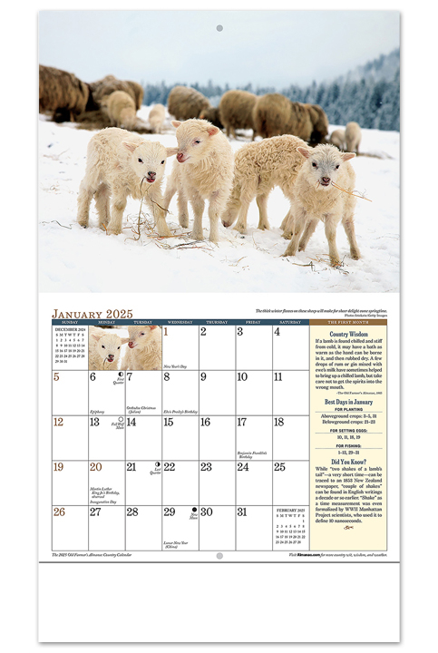 2025 Old Farmers Almanac Country Calendar 10 1 2 X 18 1 4 