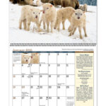 2025 Old Farmers Almanac Country Spiral Calendar 10 1 2 X 18 1 4