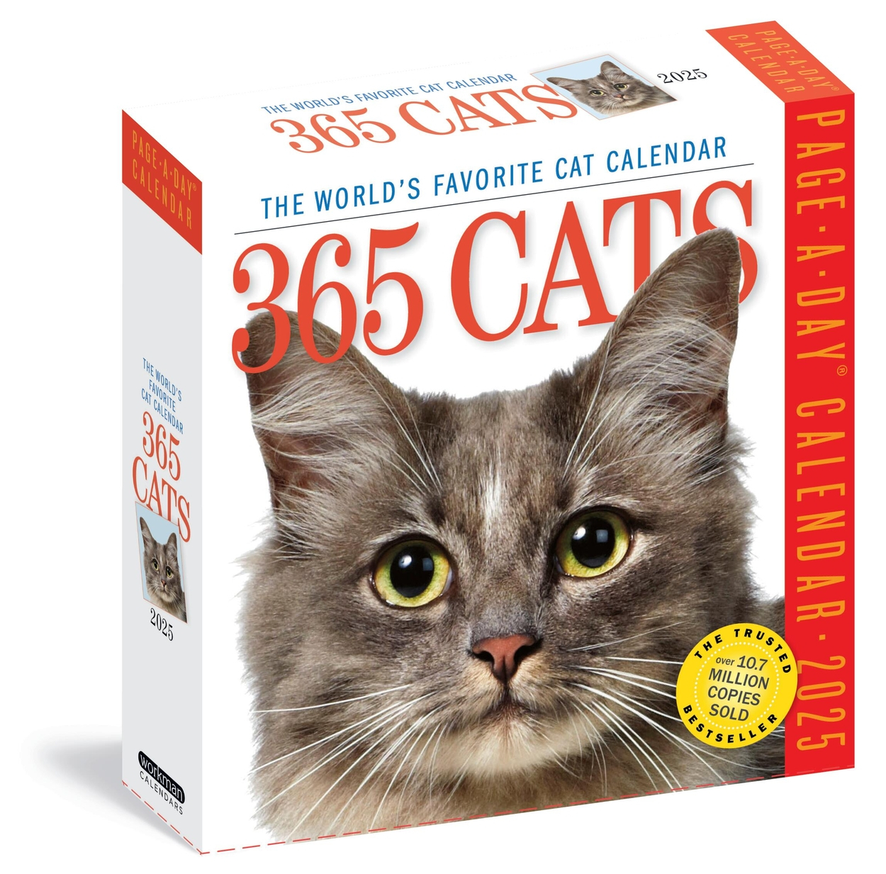 365 Cats Page A Day Calendar 2025 By Workman Calendars Hachette UK