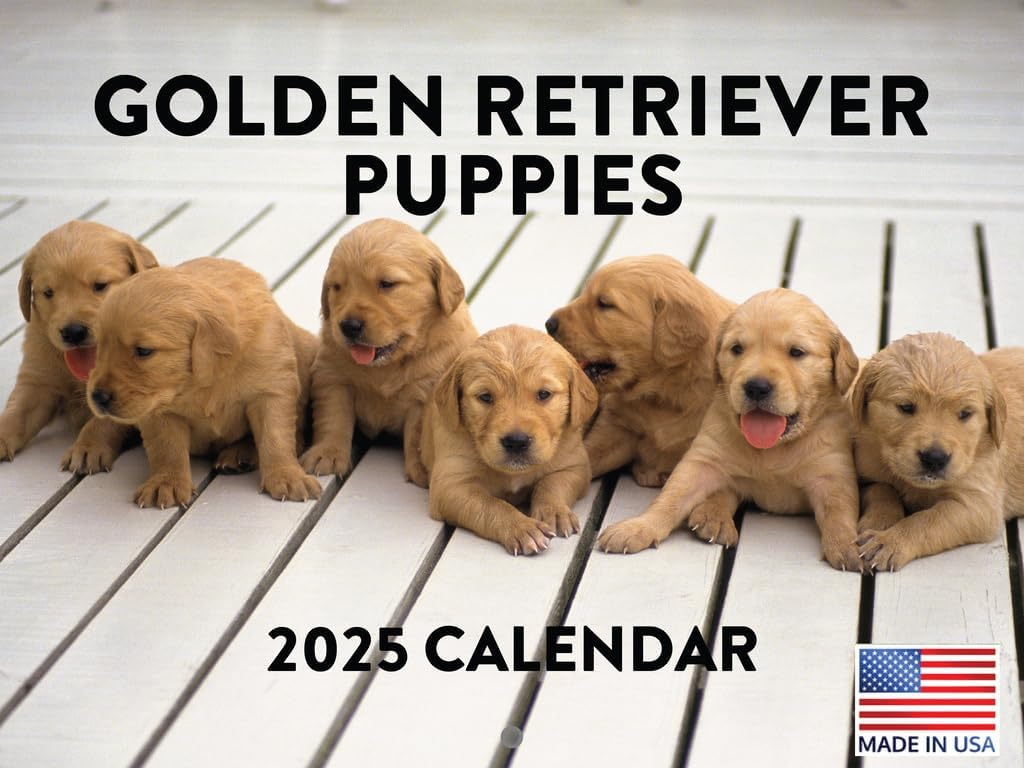 Amazon Golden Retriever Puppy Calendar 2025 Monthly Wall Calender