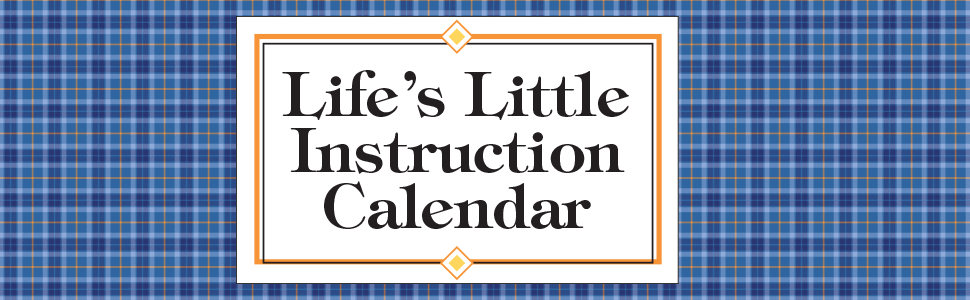 Amazon Life s Little Instruction 2025 Day to Day Calendar 