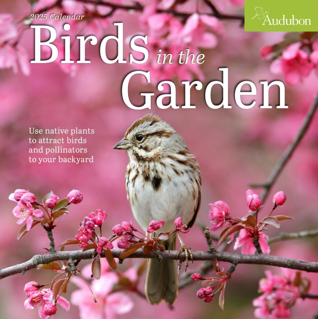 Audubon Birds In The Garden Wall Calendar 2025 By Workman Calendars 