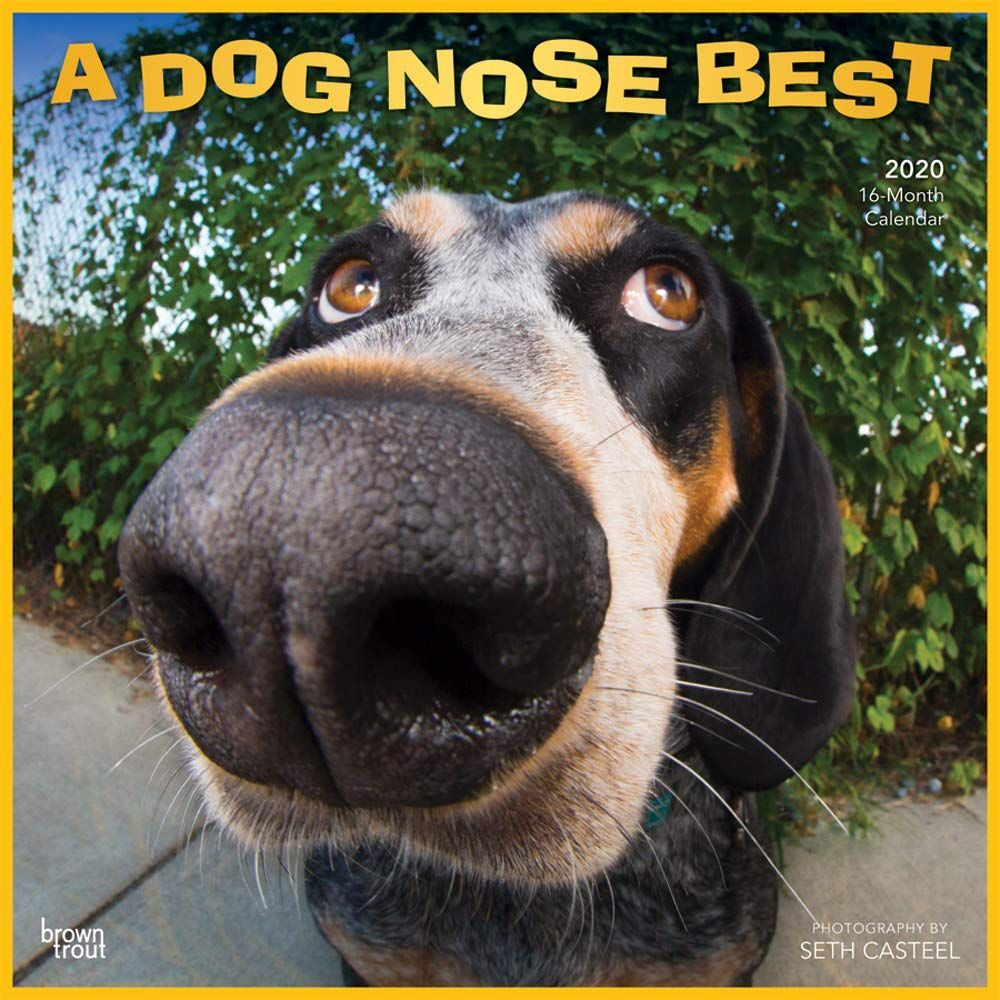 Boop My Nose Calendar 2025 Ellene Noellyn