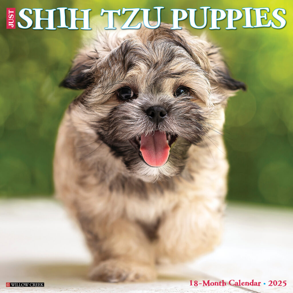 Buying Shih Tzu Puppies Calendar 2025 Simply Order Online 