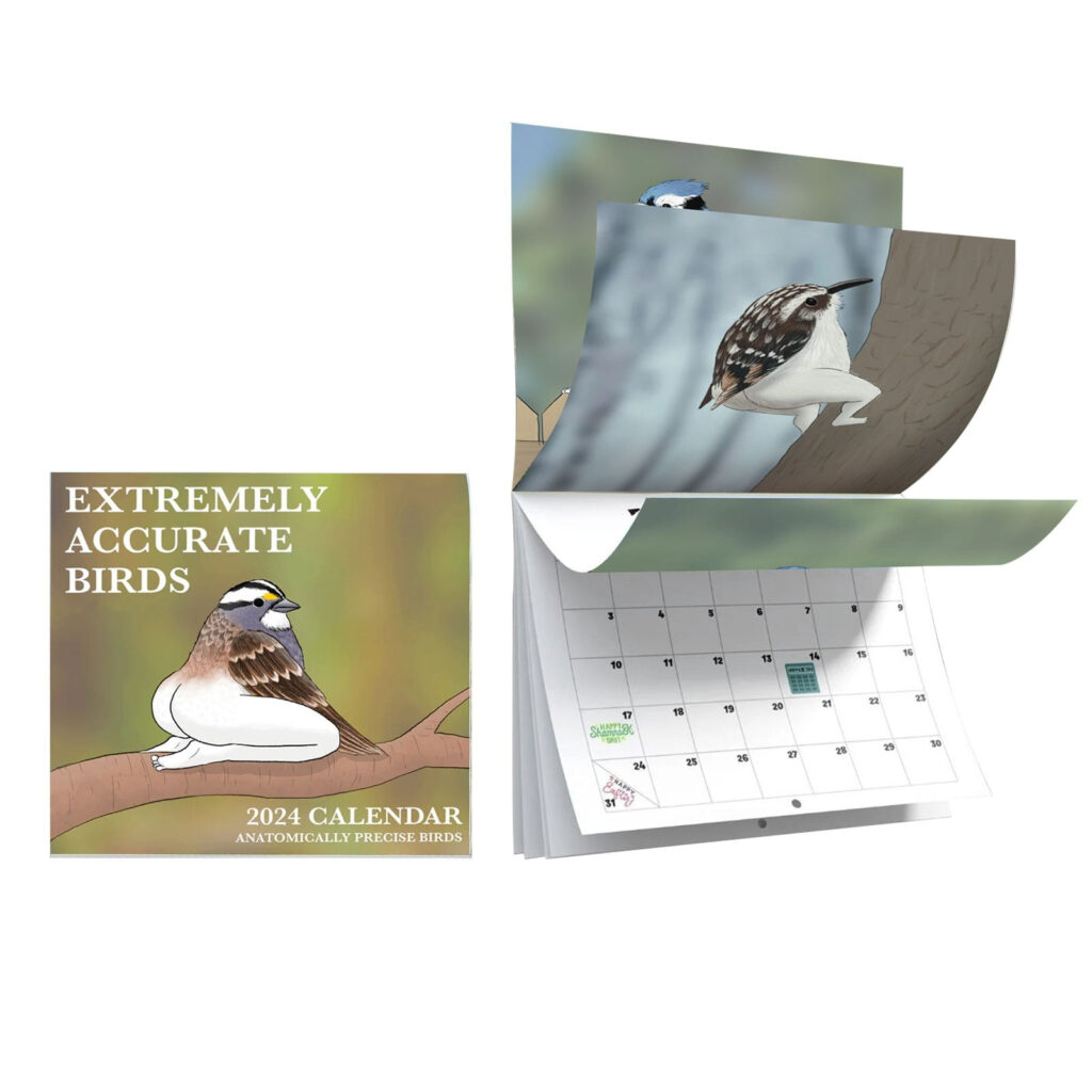 CAKVIICA Calendar Of Extremely Accurate Birds Bird Calendar Wall 