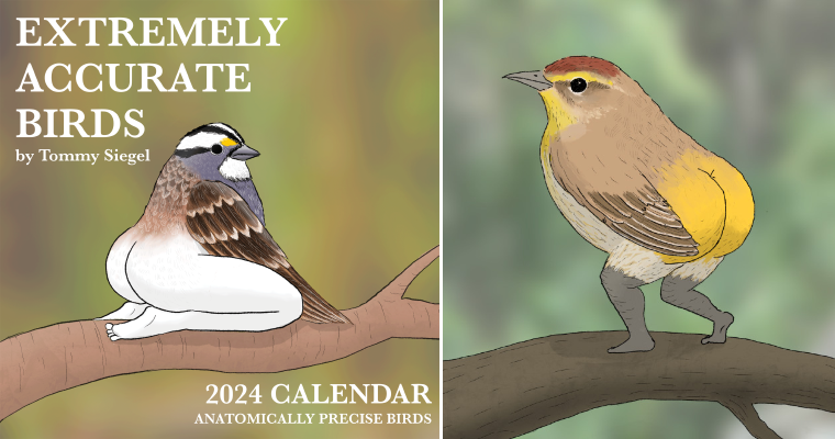 Calendar Of Extremely Accurate Birds Corie Cosette