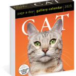 Cat Page A Day Gallery Calendar 2025 A Delightful Gallery Of Cats For