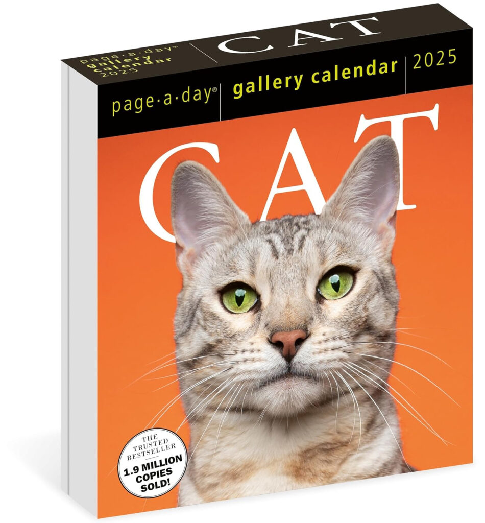 Cat Page A Day Gallery Calendar 2025 A Delightful Gallery Of Cats For 