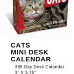 Cat Shaming Desk Calendar 2025 Nicki Amabelle