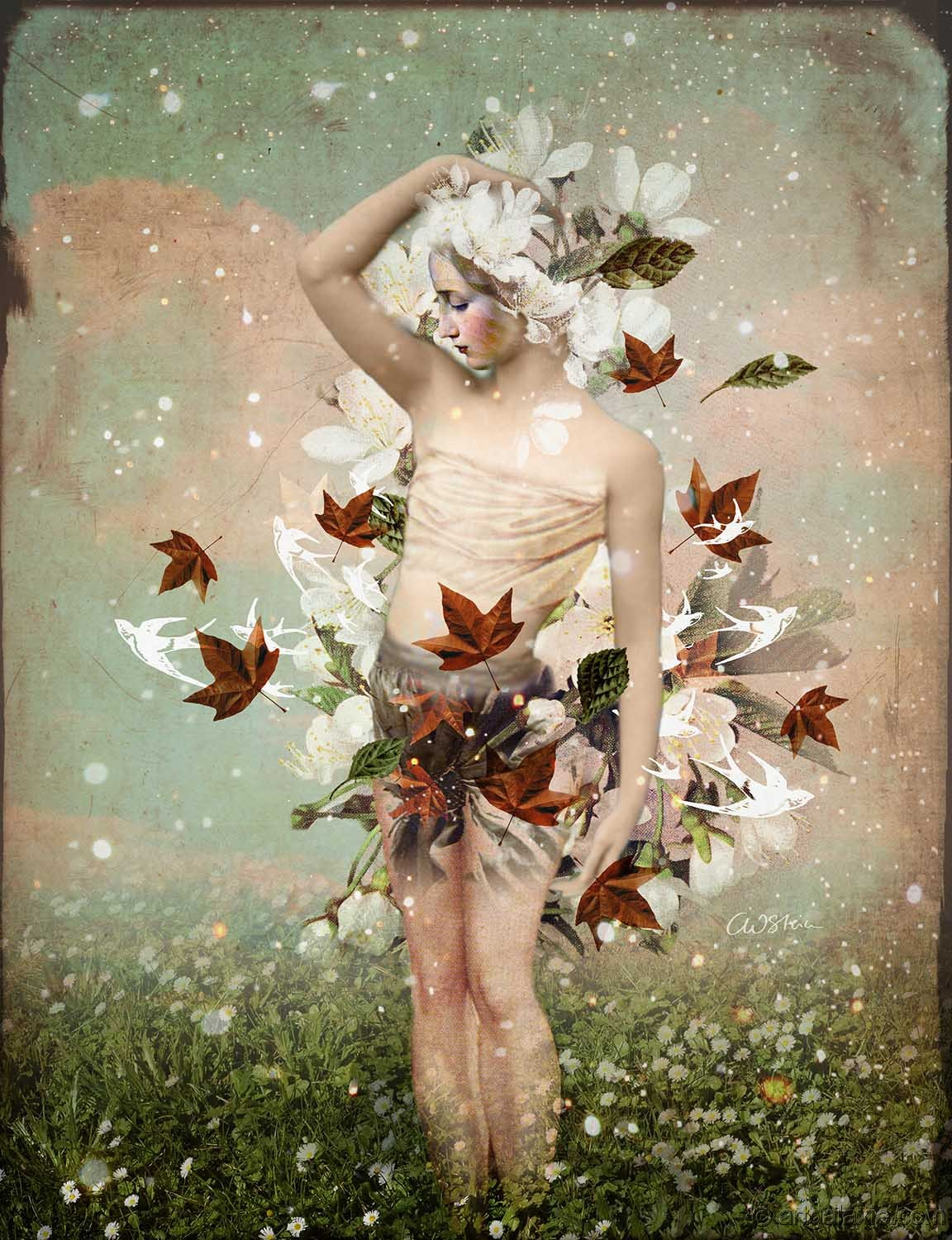 Catrin Welz Stein