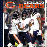 Chicago Bears 2025 Record Elsy Norean