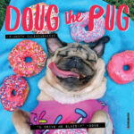 Doug The Pug 2025 7 X 7 Mini Wall Calendar Cartoon Humor