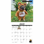 Doug The Pug Mini Calendar 2025