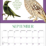 Effin Birds Calendar 2025 Day To Day Gusty Katusha