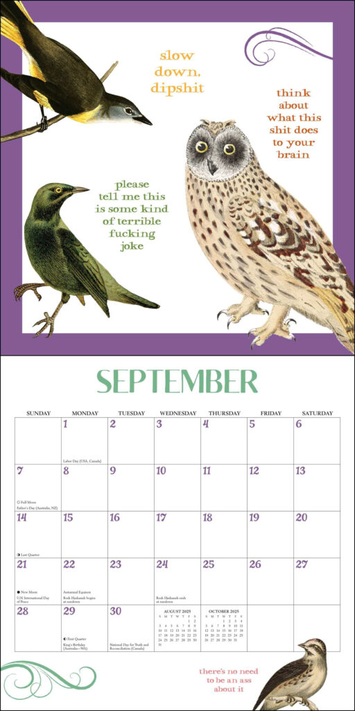 Effin Birds Calendar 2025 Day To Day Gusty Katusha