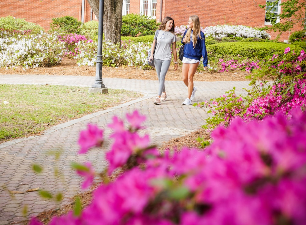 Georgia Southern Spring 2025 Calendar Google Drive Cyndia Ondrea