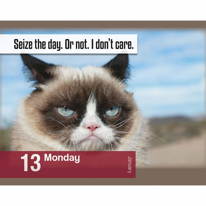 Grumpy Cat Desk Calendar 2025