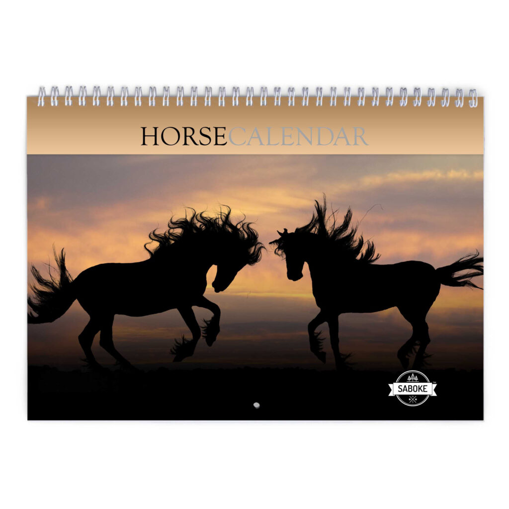 Horse Calendar 2025 Uk Freddy Lucita