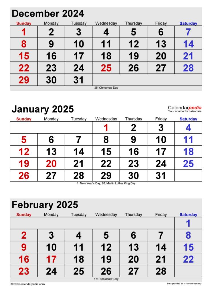 January 2025 Calendar Templates For Word Excel And PDF