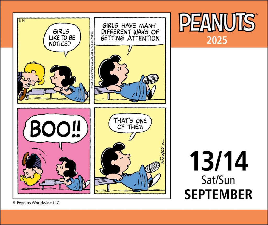 Peanuts 2025 Day to Day Calendar Book Summary Video Official 