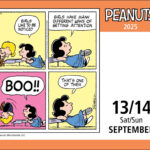 Peanuts 2025 Day to Day Calendar Book Summary Video Official