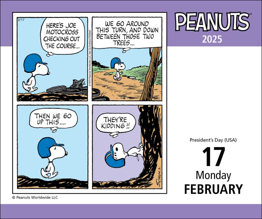 Peanuts 2025 Day to Day Calendar Book Summary Video Official 